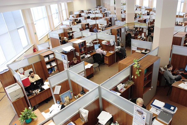 Abogados en Derecho Laboral en Saltillo, Coahuila